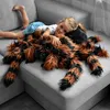 Ragno Tarantola Gigante XXL - Regalo di Halloween per Anteprima dell’immagine prodotto 4