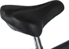 DaCapo DaCapo Trekkingrad Herren 28'' Ravenna 6 Anthrazit 6 Produktbild-Vorschau 3
