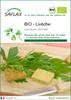 SAFLAX  -- Livèche - 100 graines - Levisticum Voir les images du produit 1