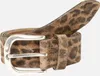 Vanzetti Pelle cintura Animal Scouting 35mm Leather Belt Anteprima dell’immagine prodotto 7