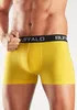 Buffalo Boxer Boxershorts für Herren 4 -teilig rot, gelb, Produktbild-Vorschau 7