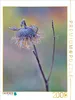 CALVENDO Puzzle Ein Motiv aus dem Kalender Wildsaatplaner Produktbild-Vorschau 1