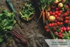 HaGaFe Beerendünger Tomatendünger Gurkendünger Gemüsedünger Produktbild-Vorschau 4