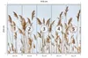 Muralo Selbstklebende Fototapete Schilf PFLANZEN Natur Produktbild-Vorschau 2