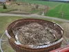 Storchenkorb - Nistkorb aus Weidegeflecht für große Vögel Produktbild-Vorschau 6