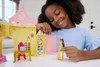 Mattel GmbH DP Petites poupées Belle Stacki 1 Voir les images du produit 6