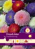 Artikelbild 1 von 'Prinzeß - Aster Prachtmischung' aus der Kategorie Asternsamen Produktbild-Vorschau