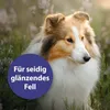 Nie wieder Knoten: Mit dem Canosept Fellpflegespray lässt Produktbild-Vorschau 5