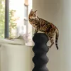 Furrytail Kratzbaum für Katzen, modularer Kletterturm mit 3 Produktbild-Vorschau 5