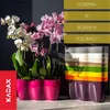 KADAX květináč "Fermo", květináč, plastový květináč, Náhled obrázku produktu 5