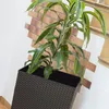 A tall, dark brown planter with a woven texture sits against a white wall with a brick accent. A green and white striped plant grows out of the planter. Anteprima dell’immagine prodotto