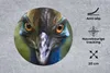 MuchoWow® Mauspad Mousepad Nahaufnahme eines Kasuars 20x20 Produktbild-Vorschau 2