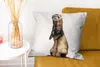 MuchoWow® Zierkissen Sofakissen Wohnzimmer Dekokissen 50x50 Produktbild-Vorschau 6