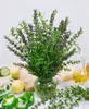 Hyssopus officinalis, Echter Ysop, aromatisch, ca. 9x9 cm Produktbild-Vorschau 3