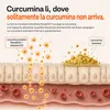 Curcuma Capsule con Vitamina D3 - Curcumina NovaSOL, 30 Anteprima dell’immagine prodotto 6