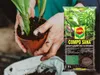 Terre pour Plantes Vertes - Monstera 5L - Écologique - Voir les images du produit 8