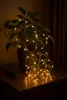 Fairy lights wrapped around a small plant on a wooden surface. Produktbild-Vorschau