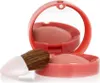 A close-up studio shot of a pink blush compact with a mirror and a small brush. Podgląd zdjęcia produktu
