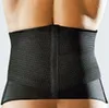 EPX Back Basic Gr.LRückenbandage Produktbild-Vorschau 1