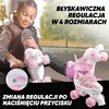 Apollo Super Quad regulowane LED wrotki dla dzieci - Podgląd zdjęcia produktu 2
