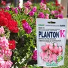 PLANTON K Mehrkomponentendünger für Geranien und Produktbild-Vorschau 20