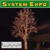 A tree decorated with many small lights at night, with a building in the background and a close-up of a string of lights in the bottom left corner. Produktbild-Vorschau