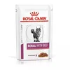 A product shot of a pouch of Royal Canin veterinary diet cat food. Produktbild-Vorschau