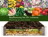 WONDERMAKE Große Hochbeet-Umrandung Beeteinfassung aus Holz Produktbild-Vorschau 5