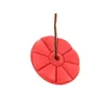 A red disc swing hanging from a rope against a white background. Anteprima dell’immagine prodotto