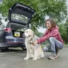 Kärcher OC 3 Pet Box: Mobiele outdoorreiniger voor Productafbeelding-voorbeeld 22
