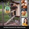 LANOLU Retro Blechschild Hühnerstall - Wer sagt Glück, Produktbild-Vorschau 2