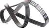FEBI BILSTEIN Keilrippenriemen 1215mm für AUDI A4 Avant Produktbild-Vorschau 6