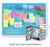 KOSMOS Fun Science Nachtleuchtende Flummi-Power Produktbild-Vorschau 3