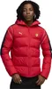 Jacke Puma 077-52716616974675 für Herren Produktbild-Vorschau 3
