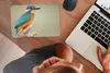 MuchoWow® Mauspad Mousepad Vogel - Eisvogel - Zweig 27x18 Produktbild-Vorschau 3