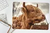 MuchoWow® Mauspad Mousepad Scottish Highlander - Strauch - Produktbild-Vorschau 5