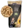 10 kg Lyra Pet® Erdnusskerne in Schoten Neue Ernte Produktbild-Vorschau 1