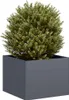 vidaXL Kvetináč antracit 40x40x30 cm oceľ Náhľad obrázku produktu 2