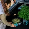 Organizér, zarážky do kufra auta, Rati NOOK - Tyrkysovo Náhľad obrázku produktu 5
