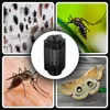 UV Insektenvernichter LED, Elektrische Insektenfalle mit Produktbild-Vorschau 13