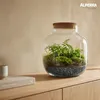 ALPERRA Dekosplitt 2-5 mm 4 kg Zierkies für Vase Garten & Produktbild-Vorschau 5