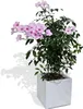KÖHKO® Blumenkübel aus Fiberglas Pflanztopf 26x26x26 cm Produktbild-Vorschau 3