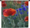 MuchoWow® Wandteppich Wandbehang Bunte Mohnblumen in den Produktbild-Vorschau 1