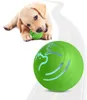 A puppy playing with a green interactive dog toy ball. Náhled obrázku produktu