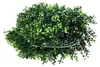 Buxibo Kit Haie Artificielle - 4x50x50 cm - Mur Vert - Voir les images du produit 6