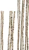 Echter Deko Birkenstamm 90 cm lang, 2-4 cm Durchmesser, Produktbild-Vorschau 1