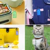 Collage of four images showing customizable keychains attached to different items. Produktbild-Vorschau