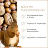 Supravit Frische Nüsse-Mix Eichhörnchen Futter 1kg | Futter Produktbild-Vorschau 4