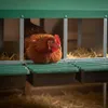 Agrarzone Hühner Legenest zum Aufstellen mit Standfüßen 5 Produktbild-Vorschau 4