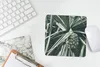 MuchoWow® Mauspad Mousepad Kaktus - Tropisch - Grün 20x20 Produktbild-Vorschau 5